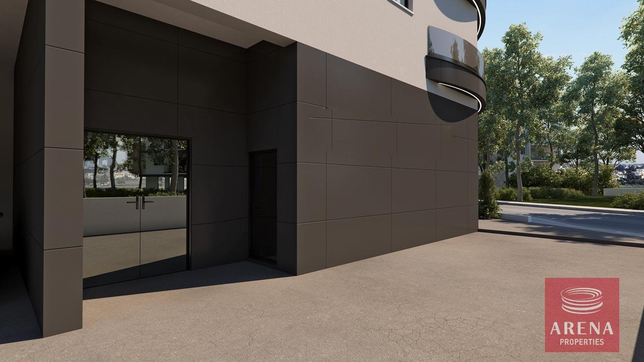 9-APTS-IN-LATSIA-8693-5