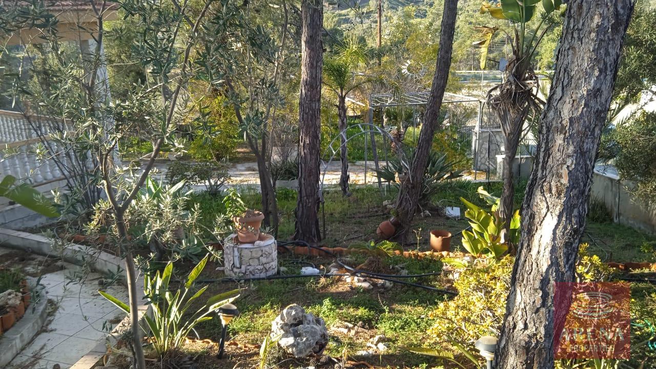 9-HOUSE-IN-LAGEIA-9326-1