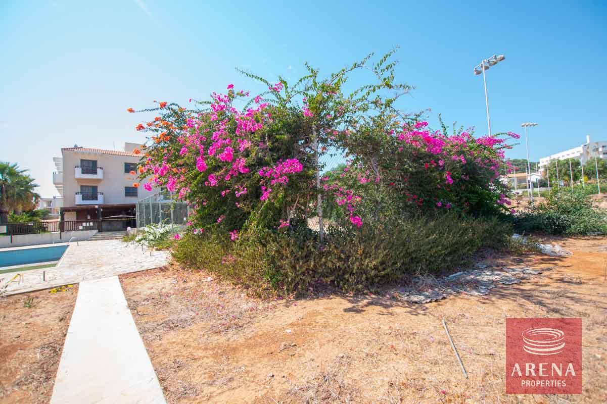 9-Hotel-for-sale-5502-3