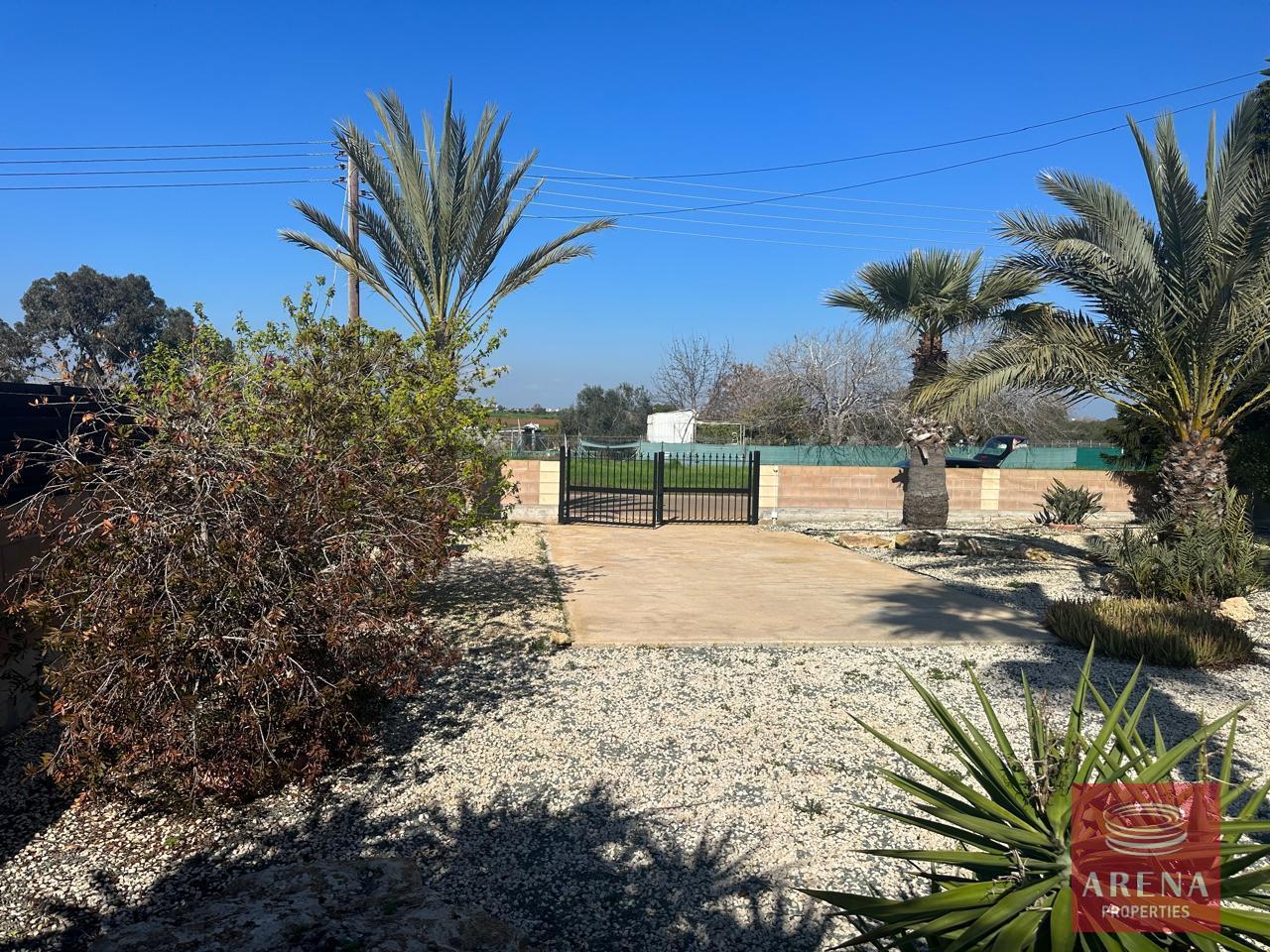 9-VILLA-FOR-RENT-IN-LIOPETRI-9223