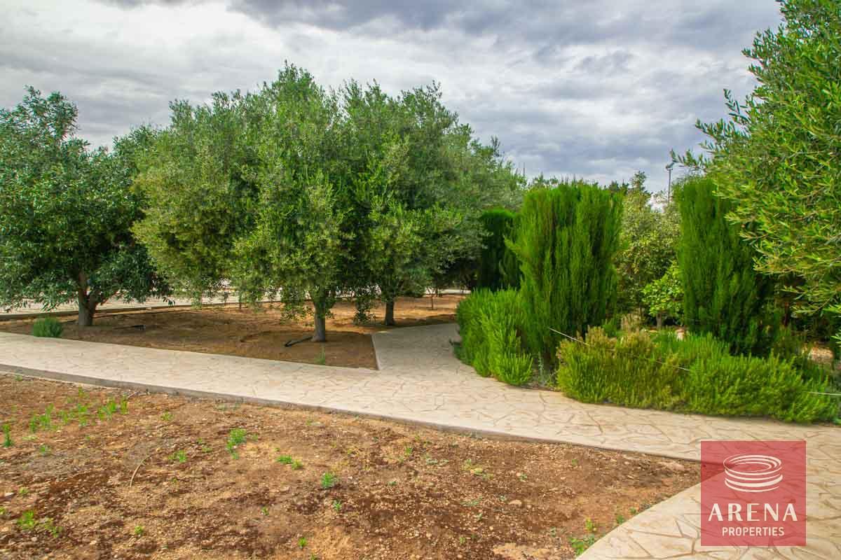 9-VILLA-IN-PERNERA-4561