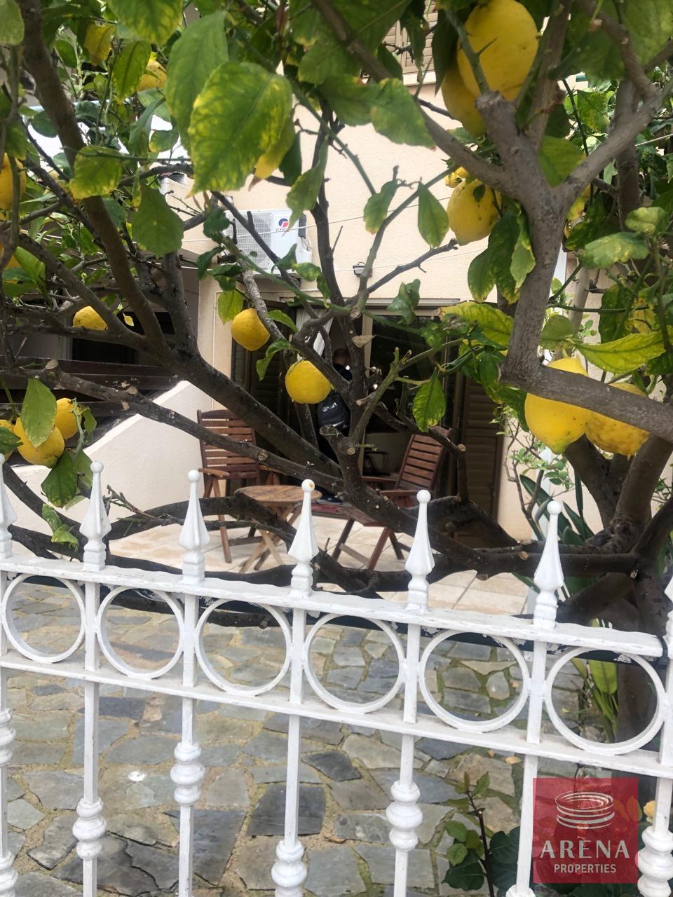 928e2b5b-23da-4409-b135-52523f319001-1