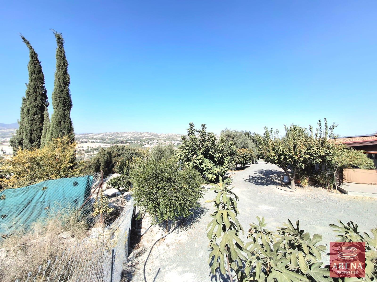 9BUNGALOW-IN-ALETHRIKO-8835