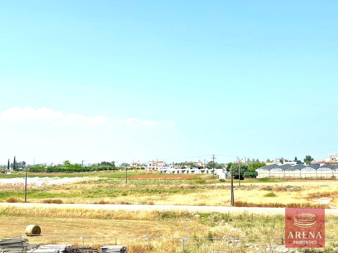 IMG-20240507-WA0065-1