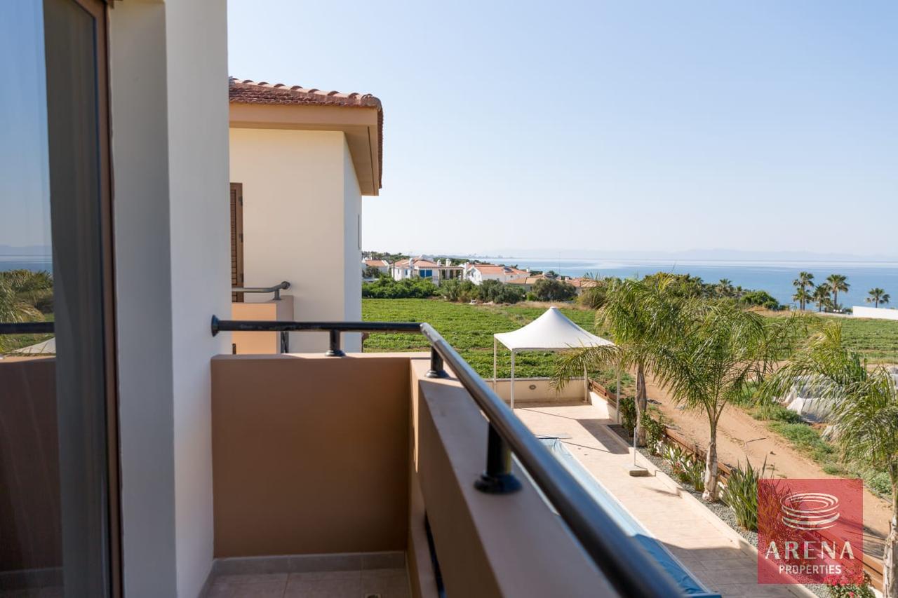 IMG-20240731-WA0035-2