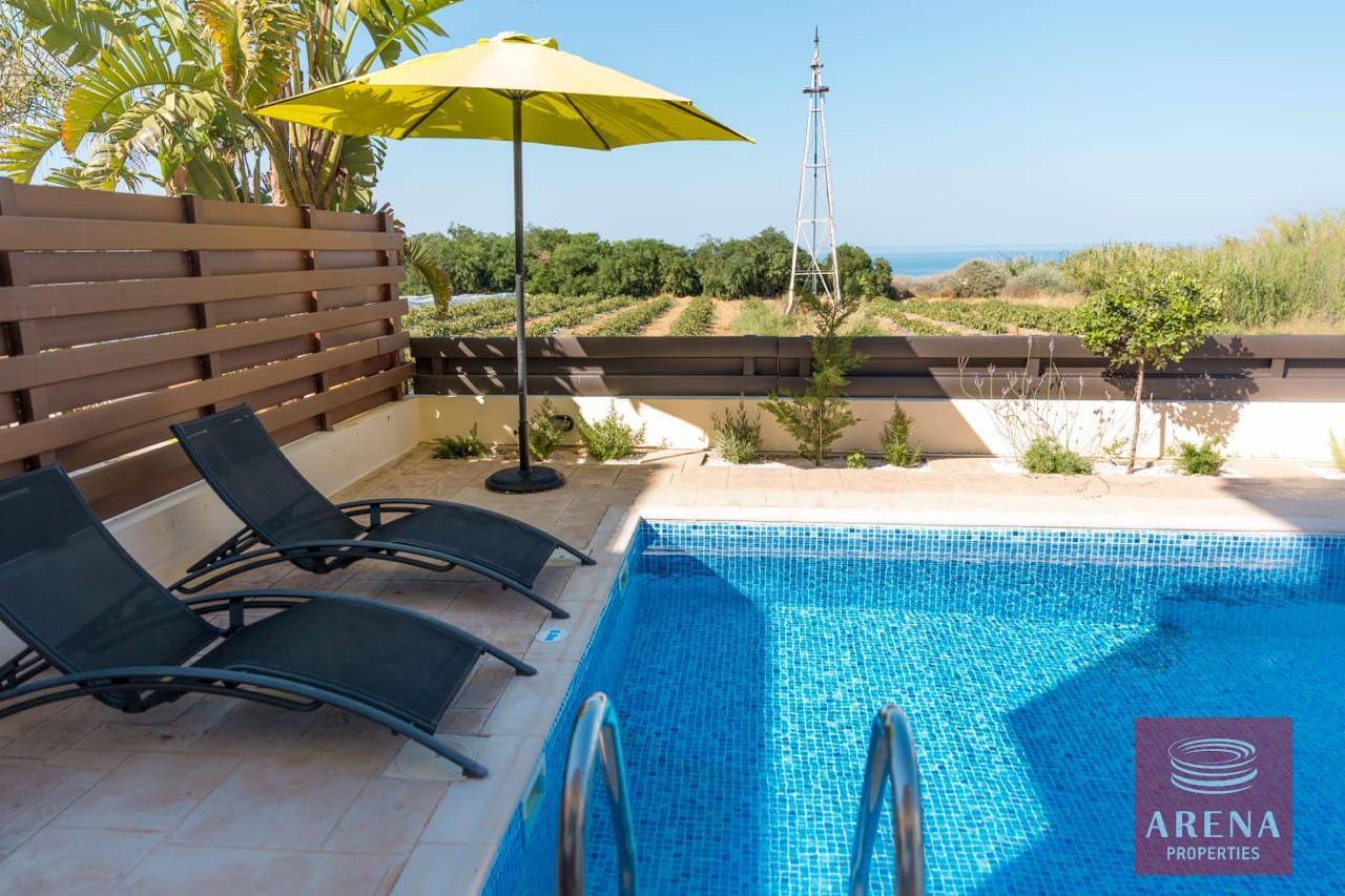 IMG-20240731-WA0041-2