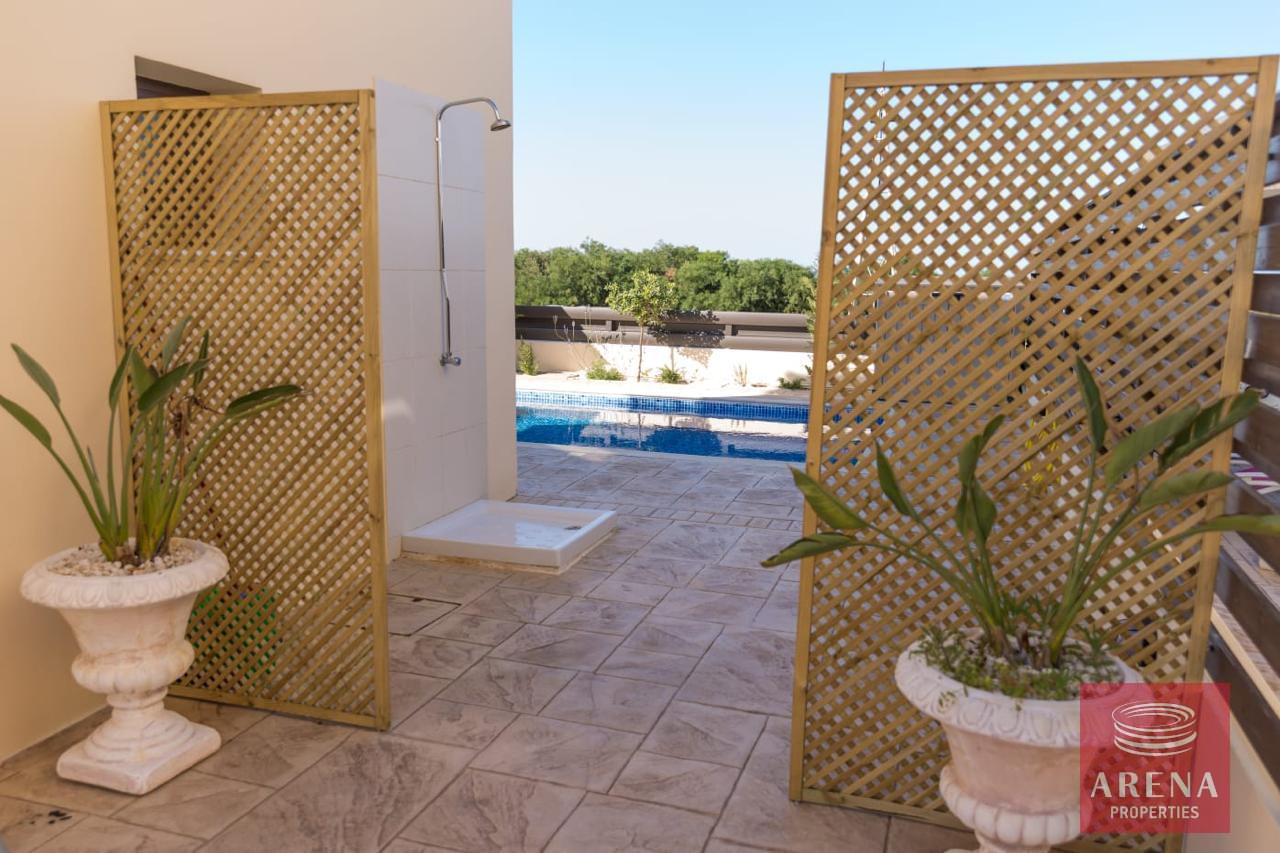 IMG-20240731-WA0050-2