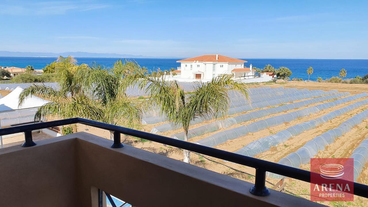 IMG-20240731-WA0052-2