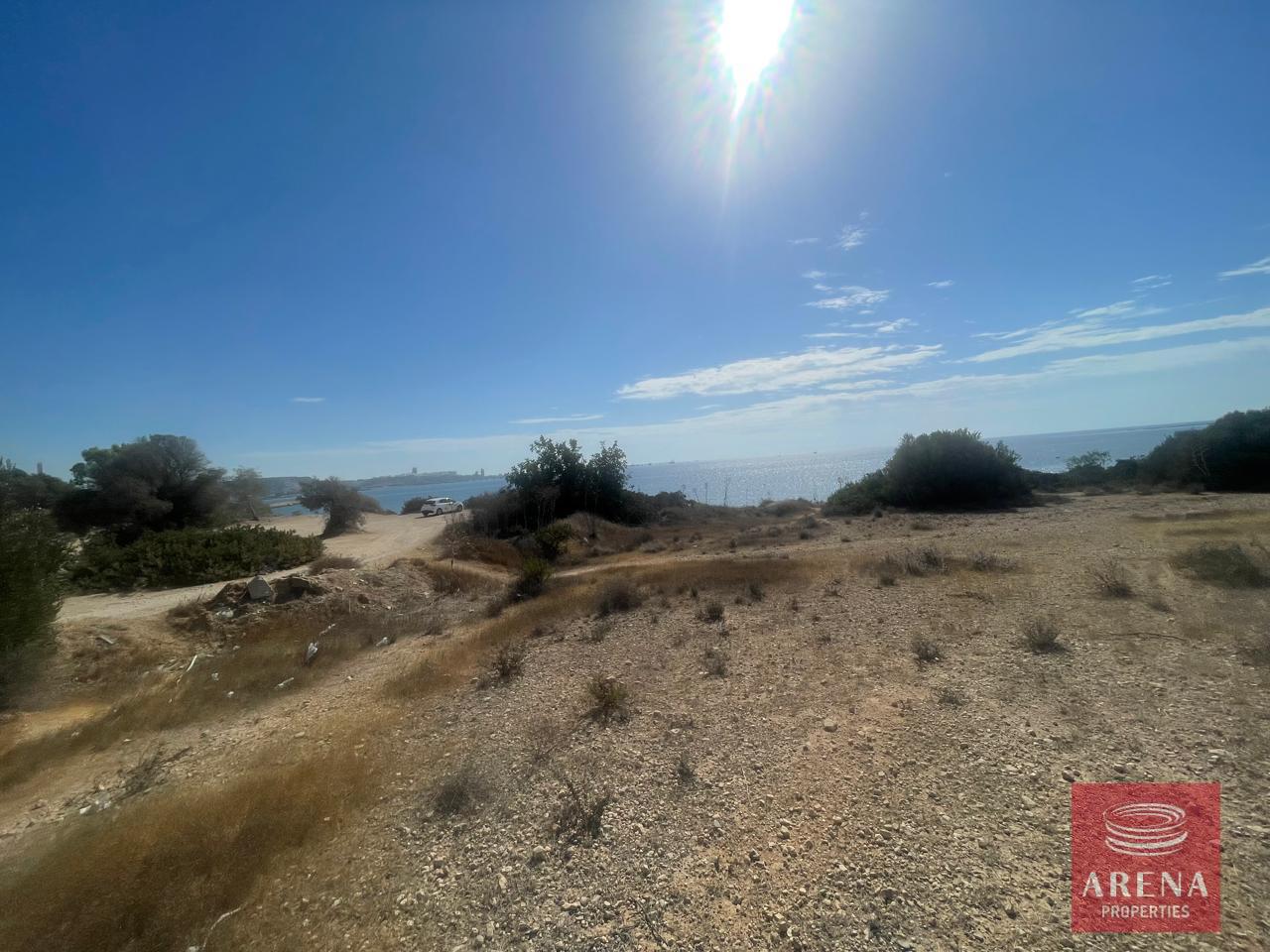 IMG-20240920-WA0021-1