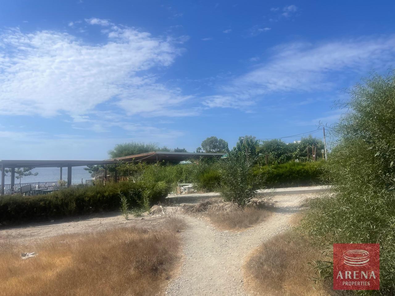 IMG-20240920-WA0024-1