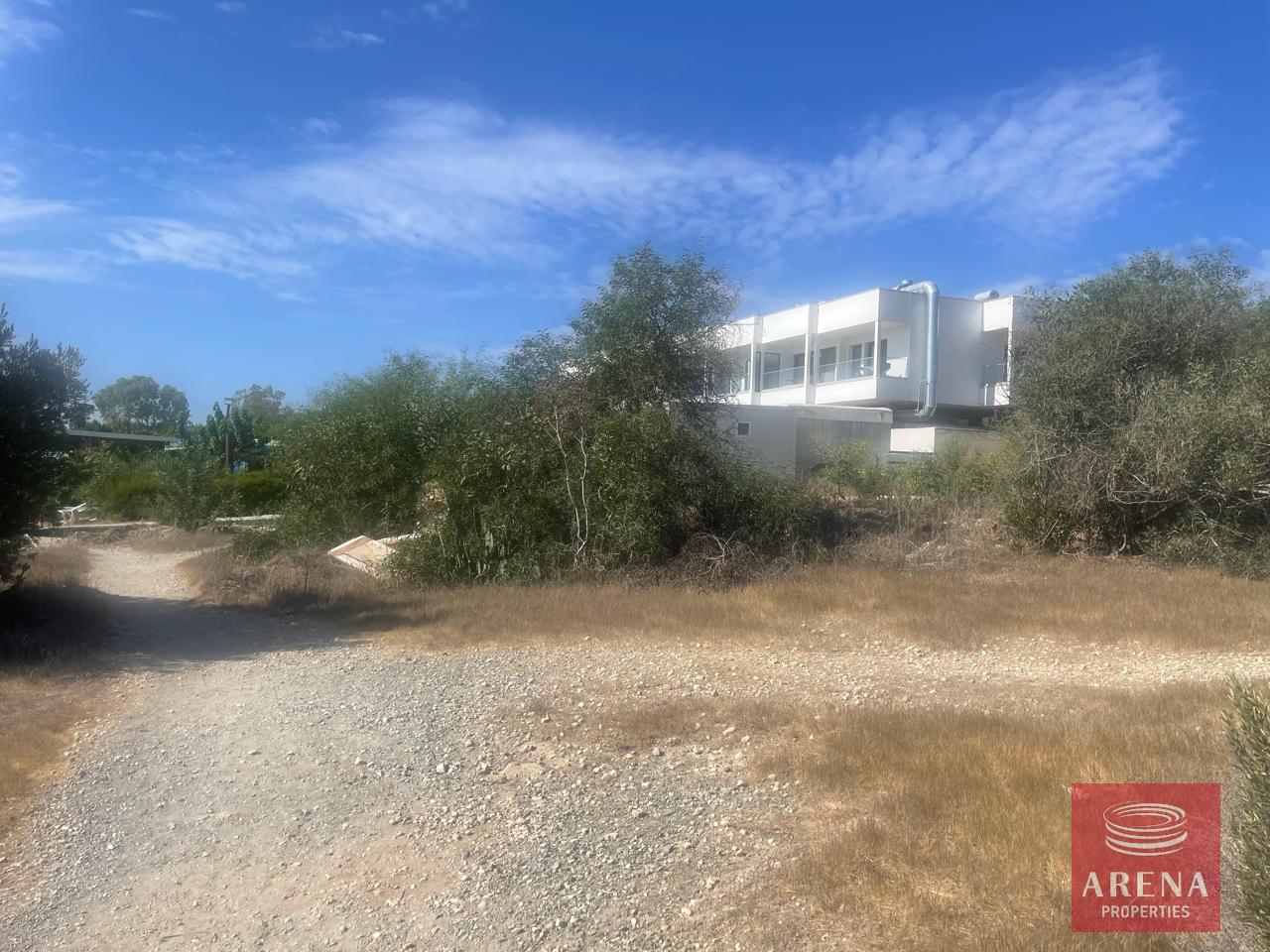 IMG-20240920-WA0025-1