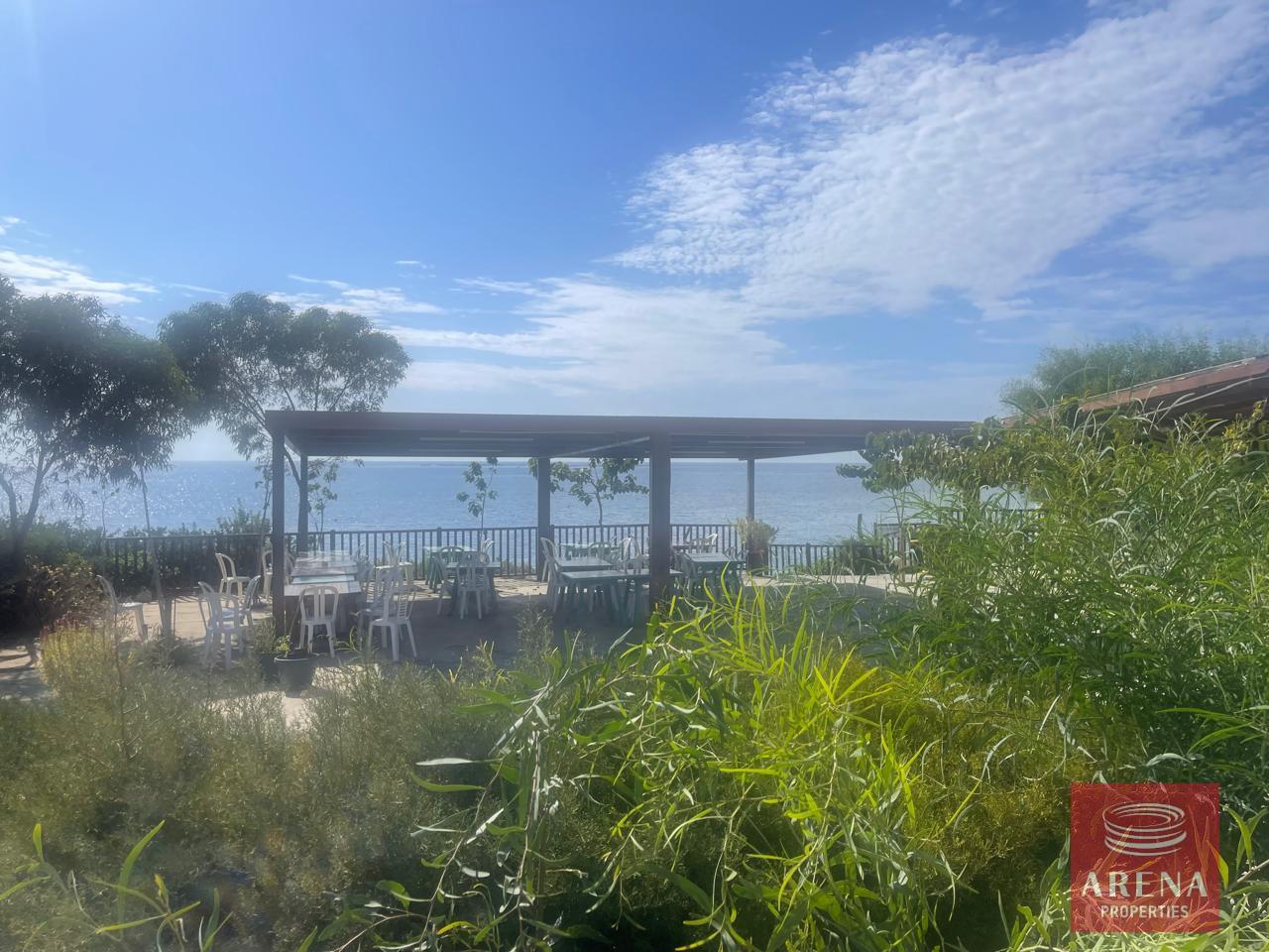 IMG-20240920-WA0028-1