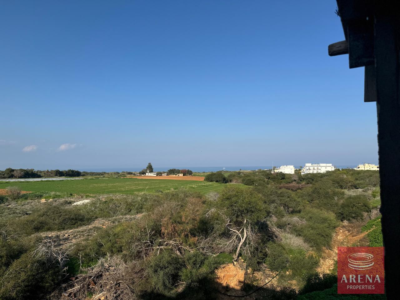 IMG-20250115-WA0007-1