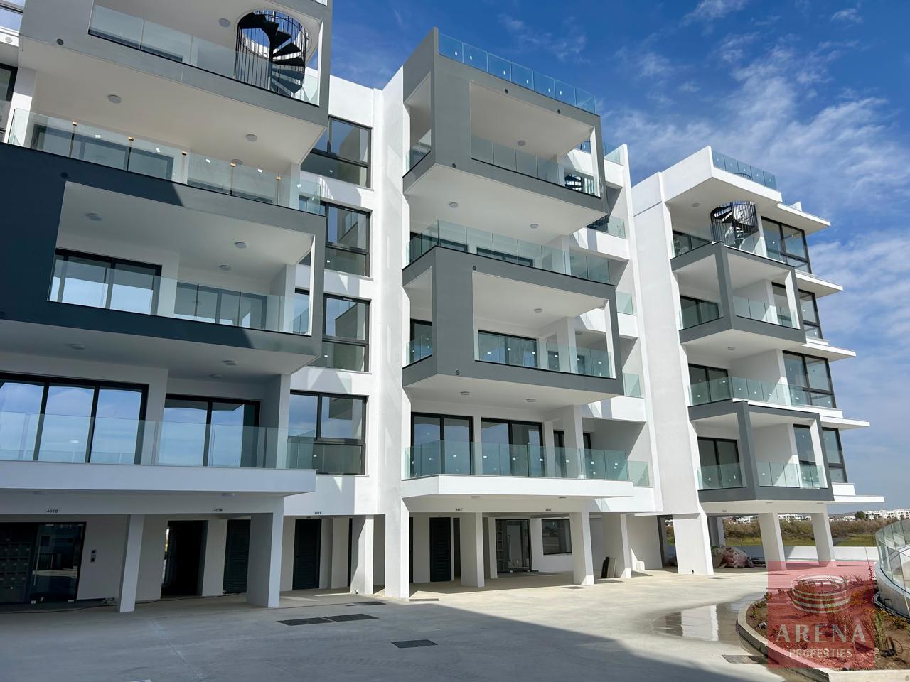 IMG-20250311-WA0016-1