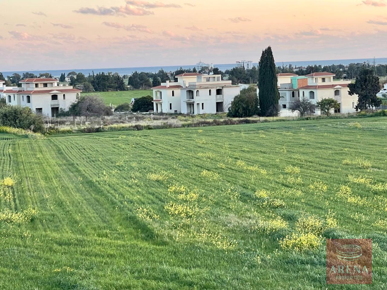 IMG-20250805-WA0148-1