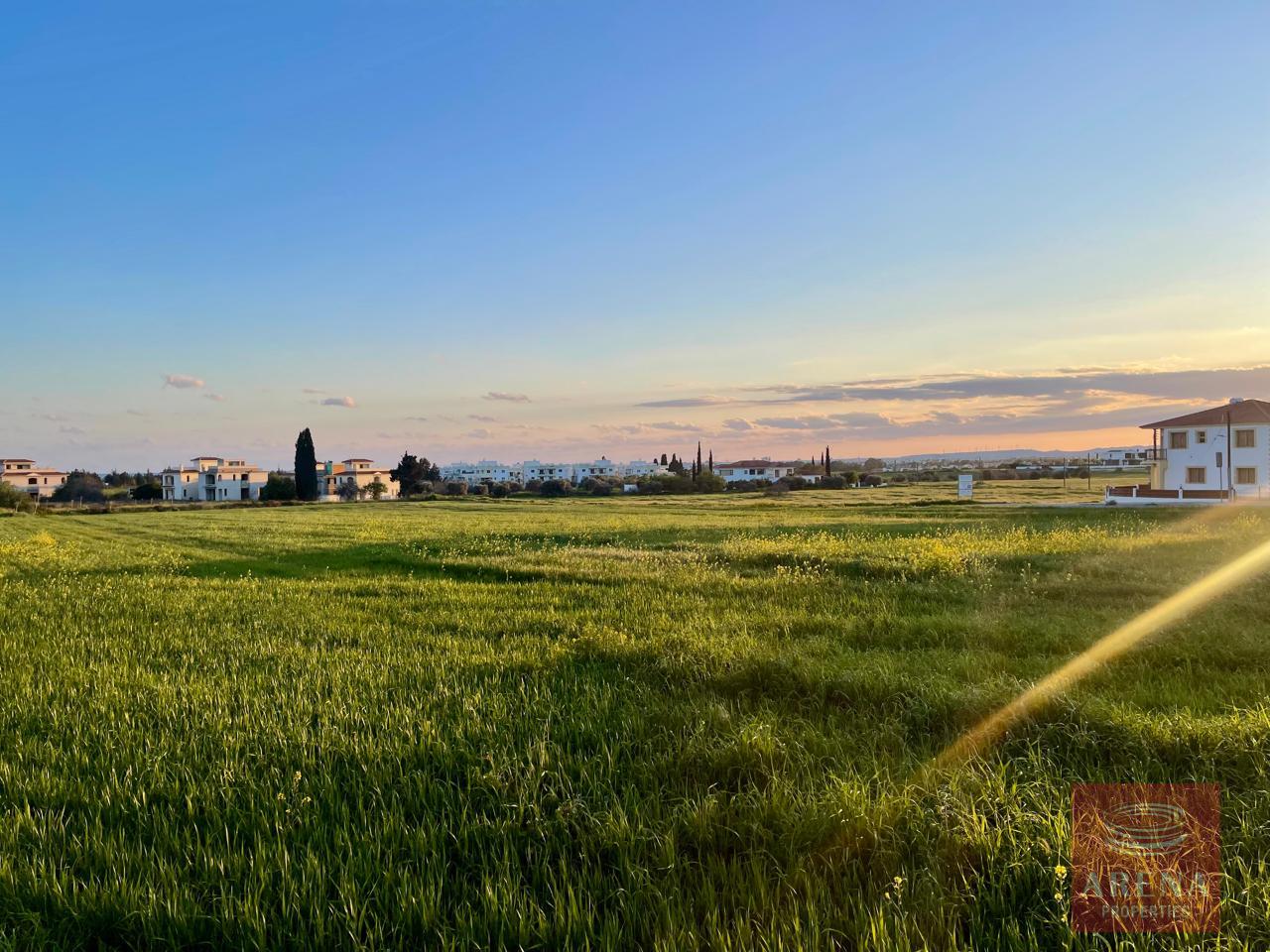 IMG-20250805-WA0152-2