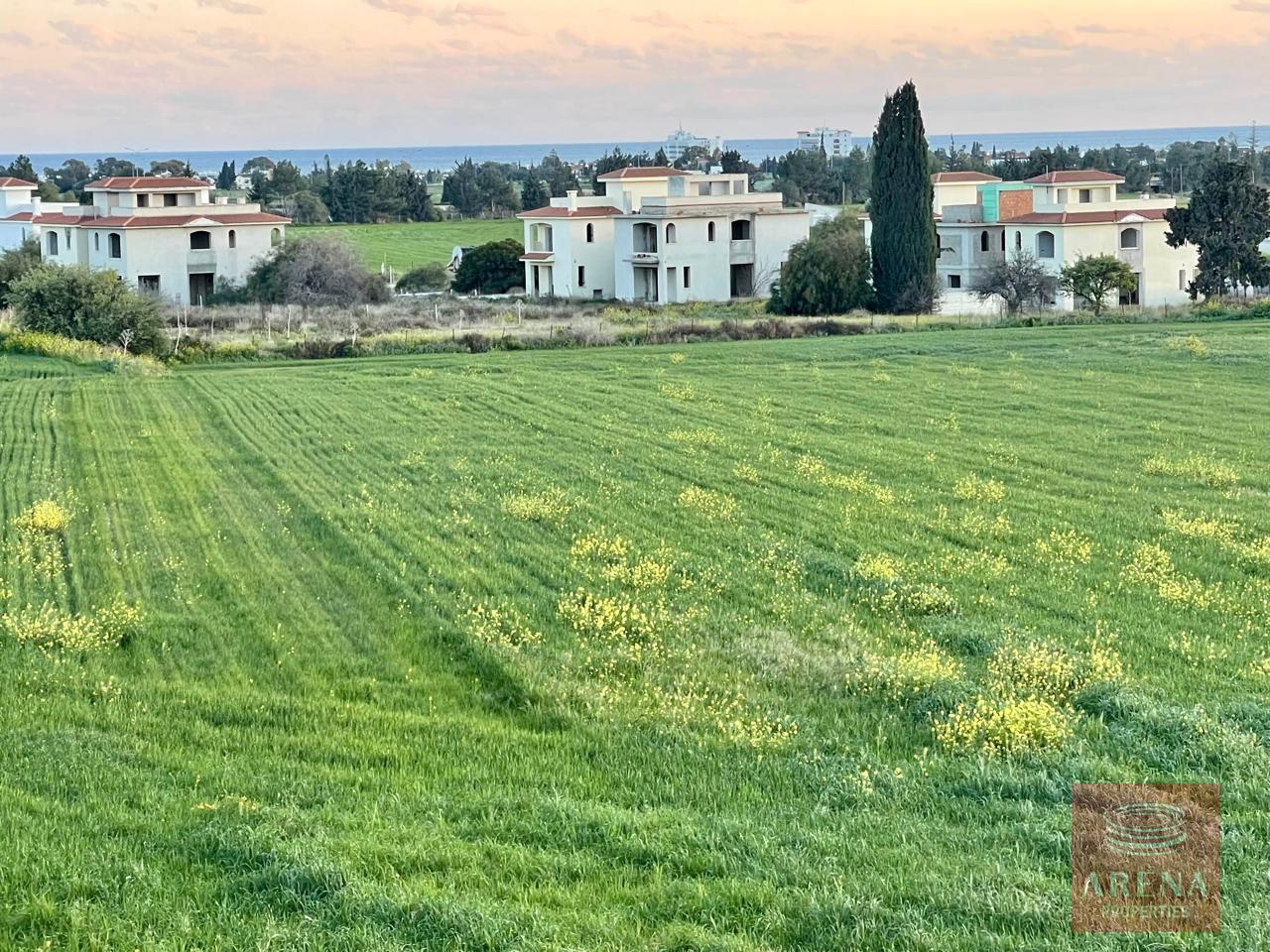 IMG-20250805-WA0161-1