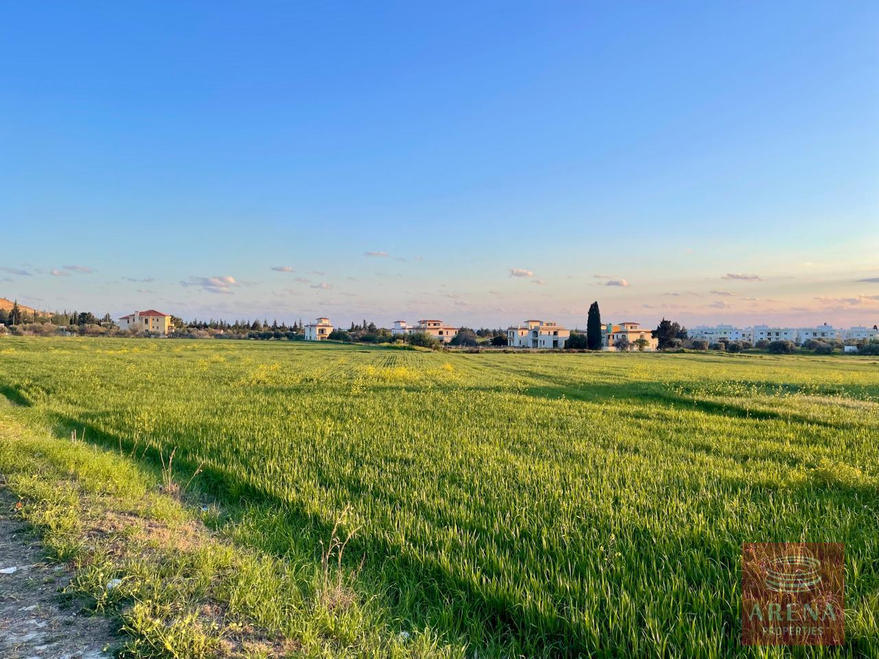 IMG-20250805-WA0165-1