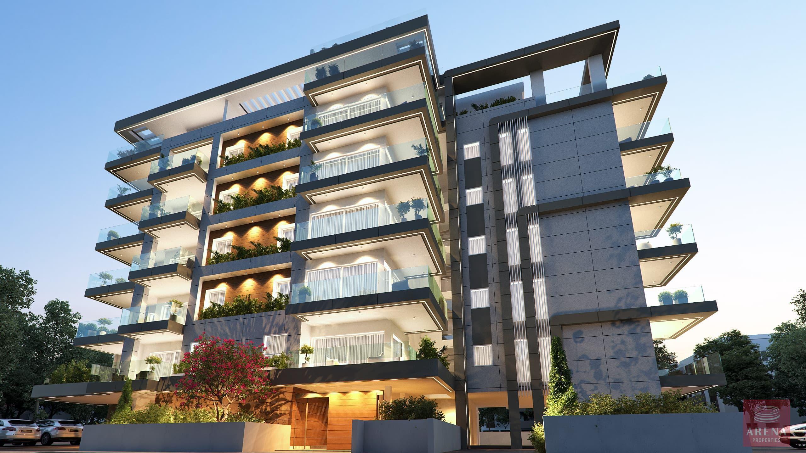 IMG-20250826-WA0031-12