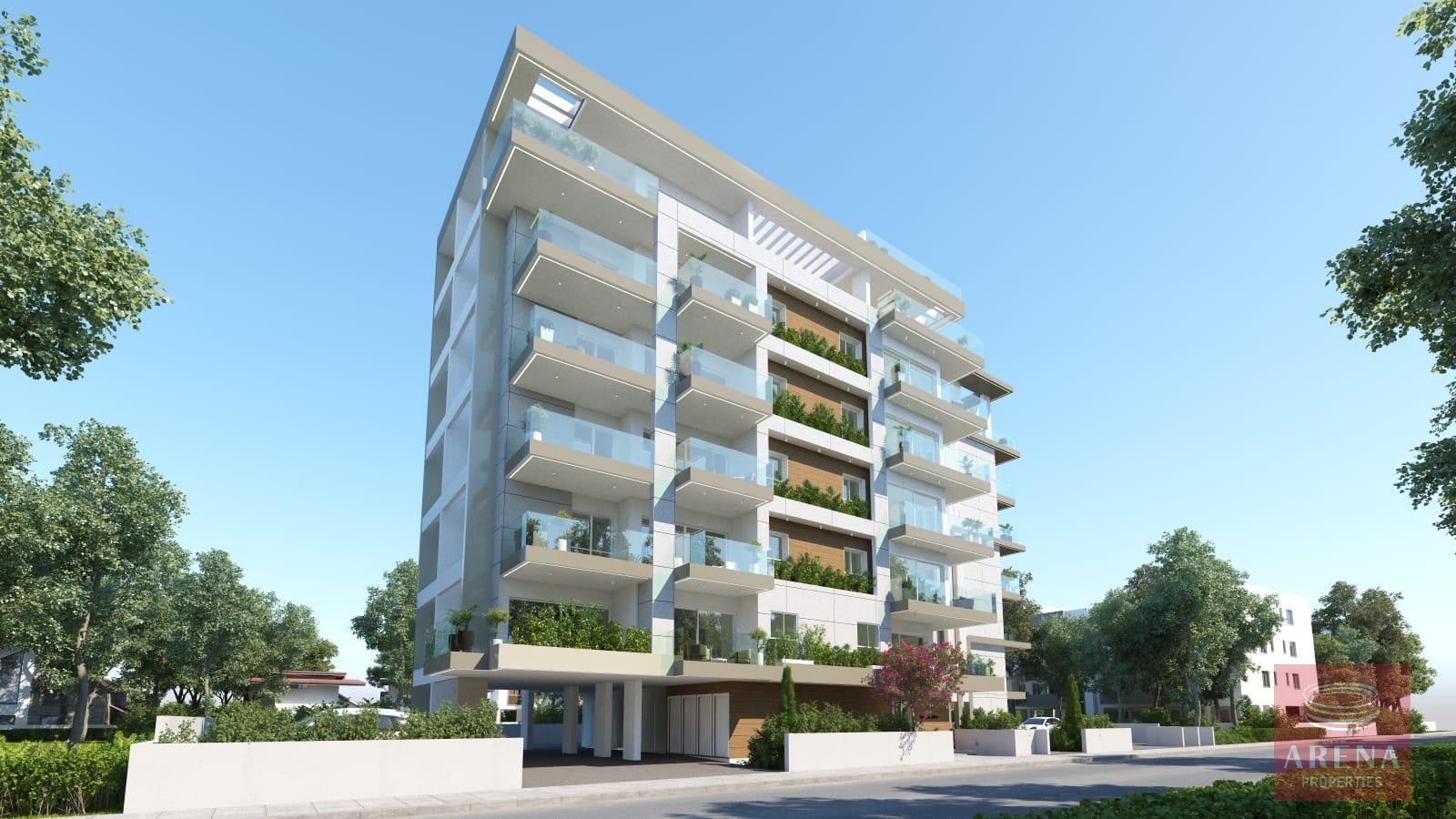 IMG-20250826-WA0040-19