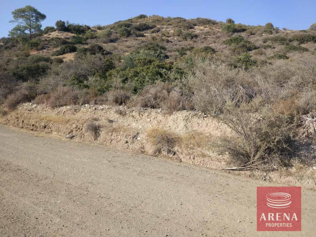 IMG_20180707_174700-1