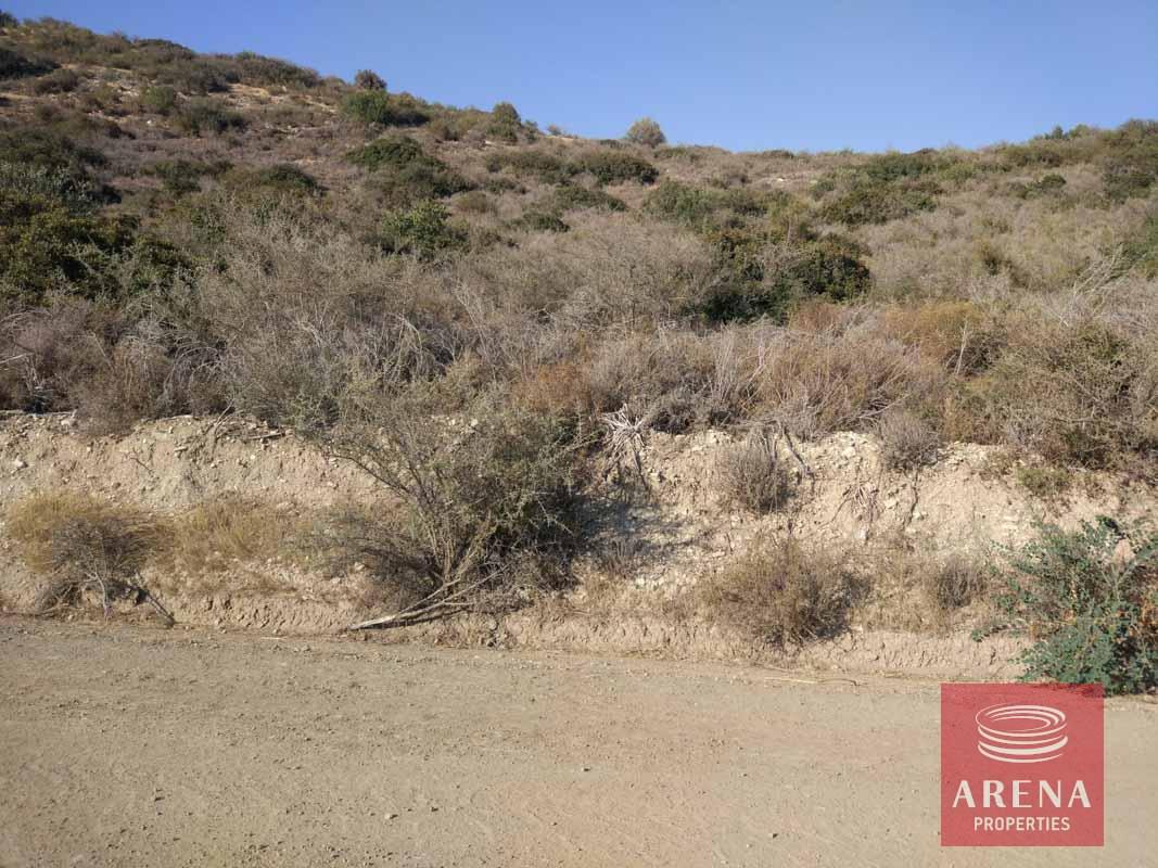 IMG_20180707_174716-1