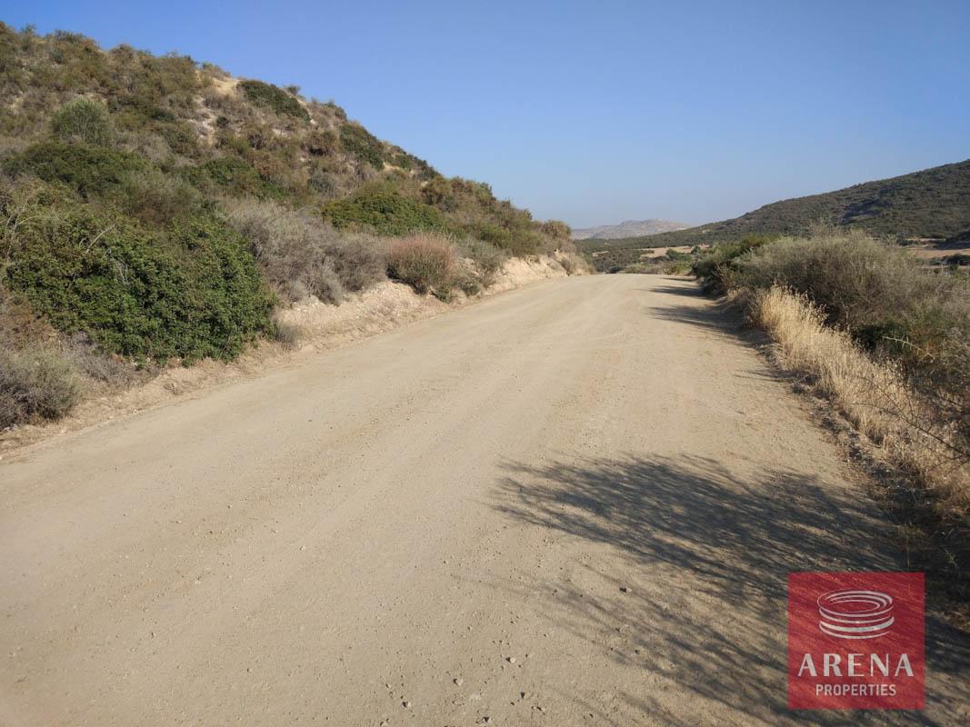 IMG_20180707_174720-1