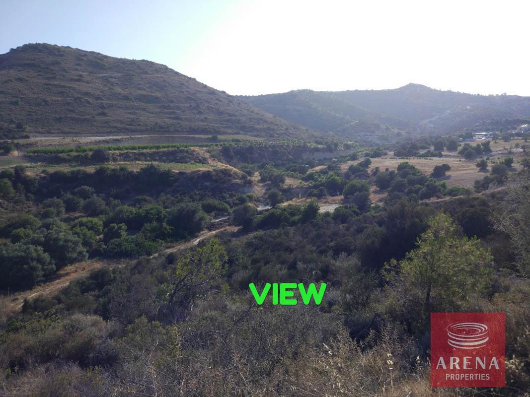 IMG_20180707_190409-1