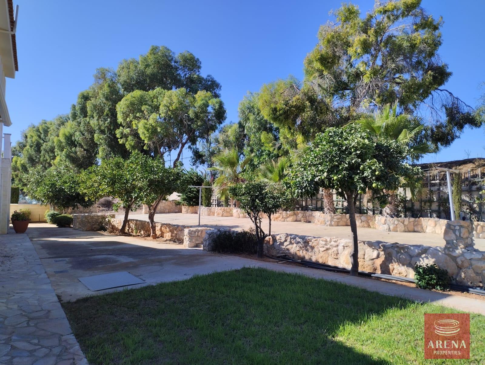 WhatsApp-Image-2023-10-18-at-6.34.16-AM