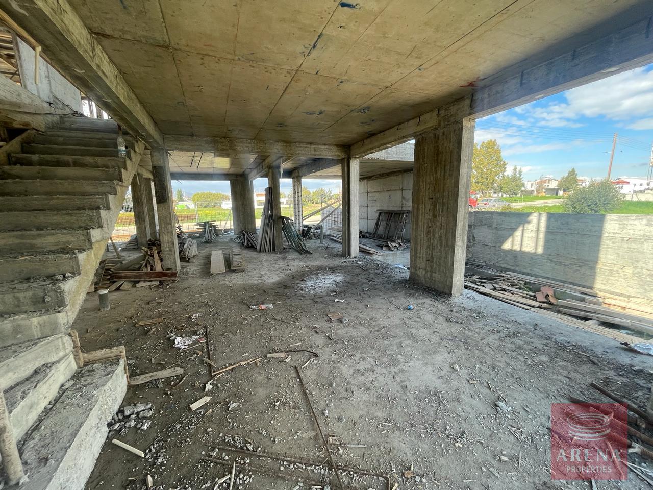 WhatsApp-Image-2024-02-04-at-11.19.04-AM-2-1