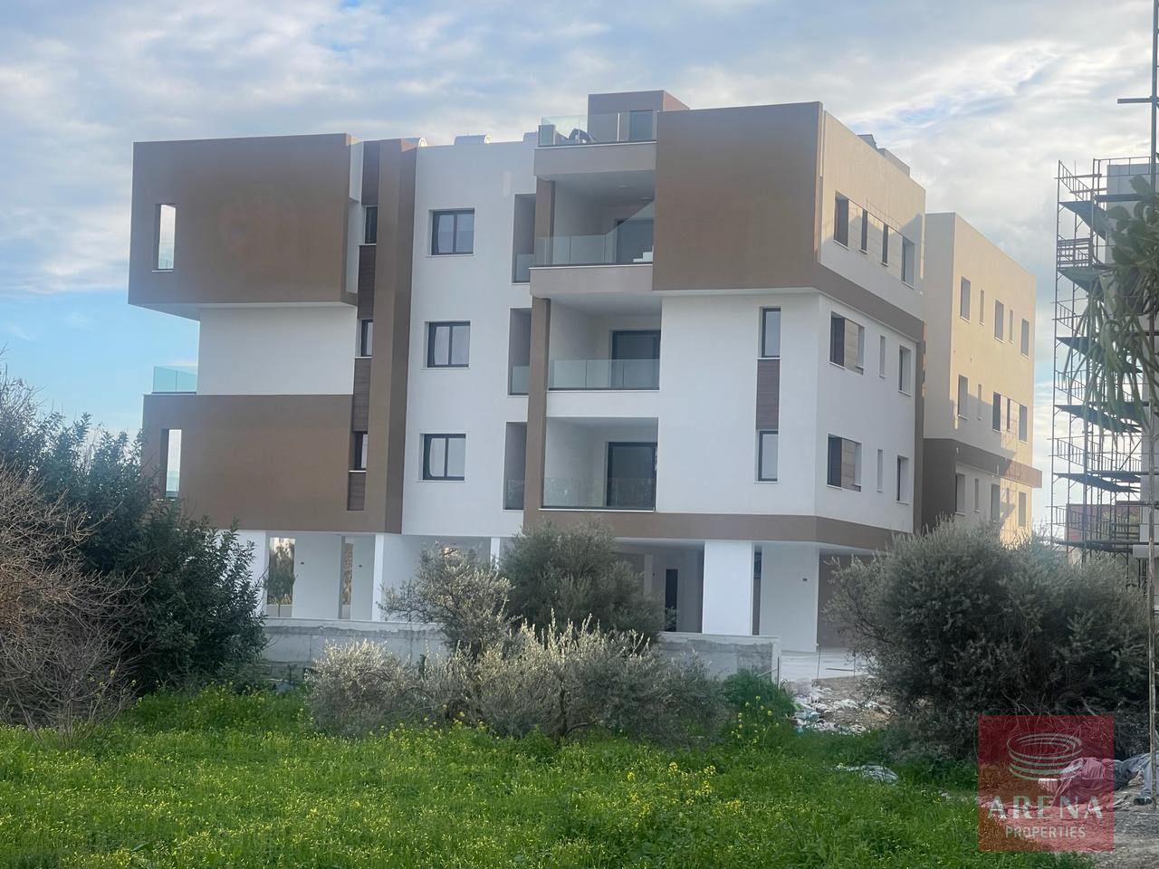 WhatsApp-Image-2024-02-20-at-4.20.02-PM-1-14