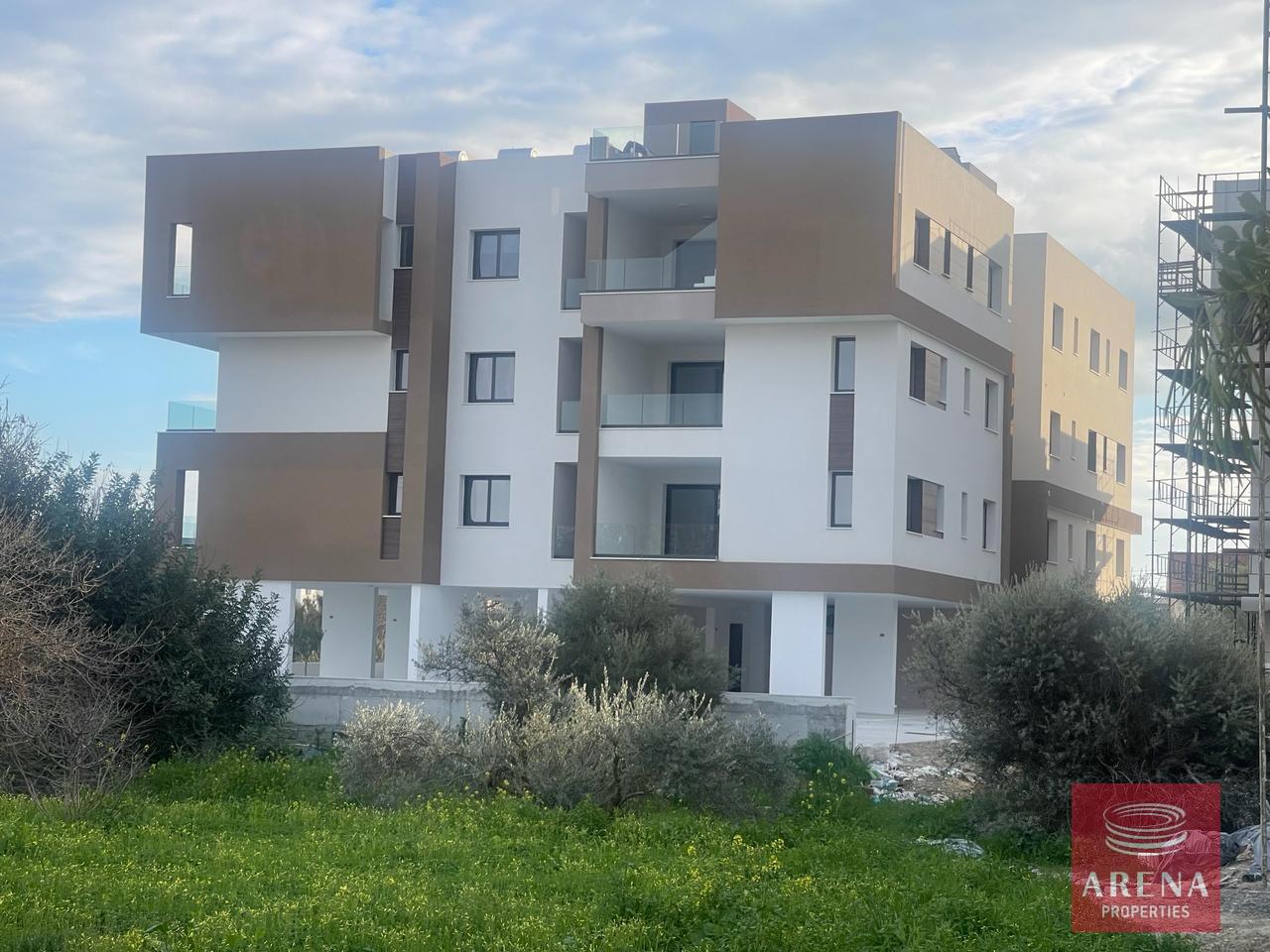 WhatsApp-Image-2024-02-20-at-4.20.02-PM-1-8