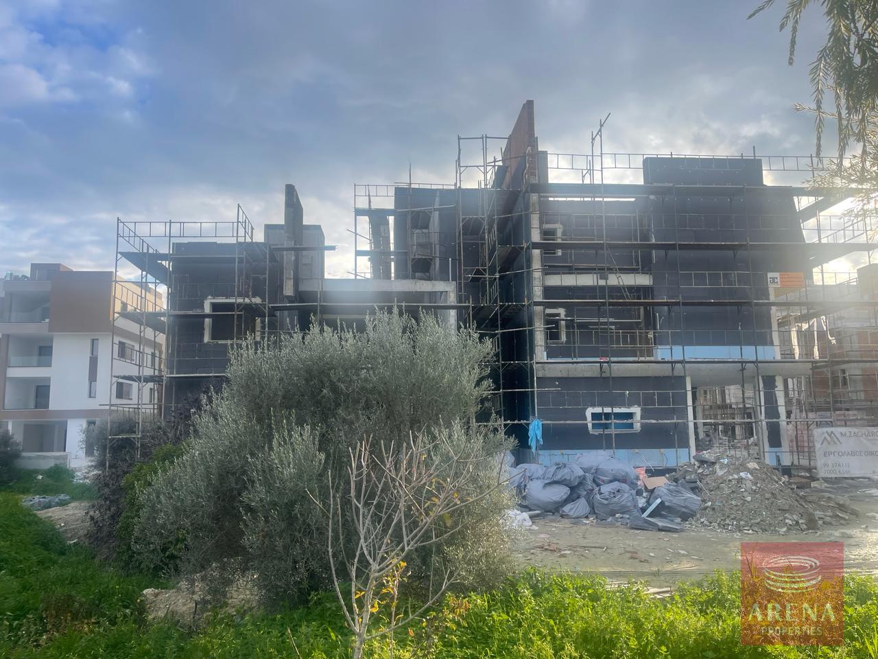 WhatsApp-Image-2024-02-20-at-4.20.02-PM-2-14