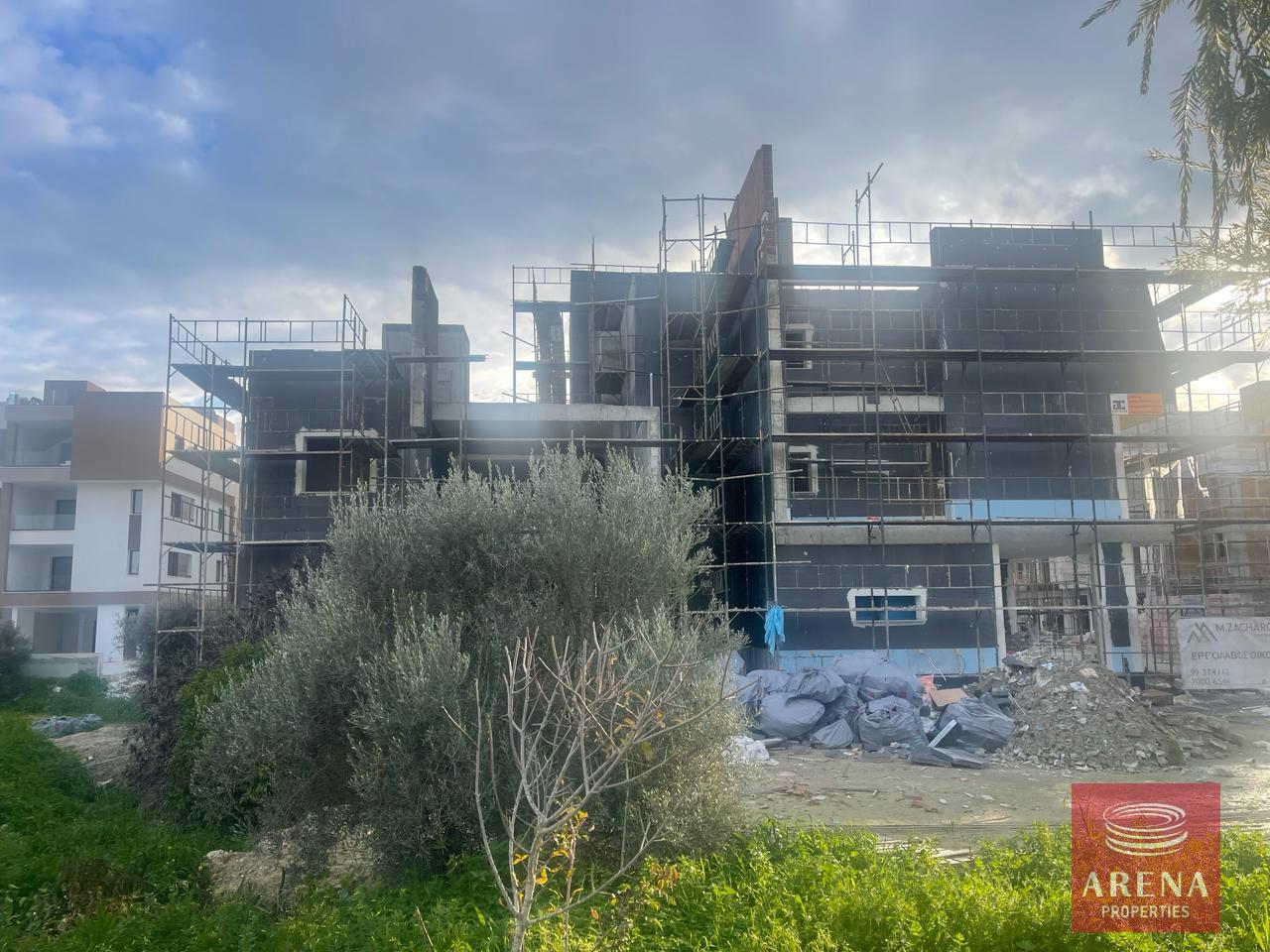 WhatsApp-Image-2024-02-20-at-4.20.02-PM-2-7