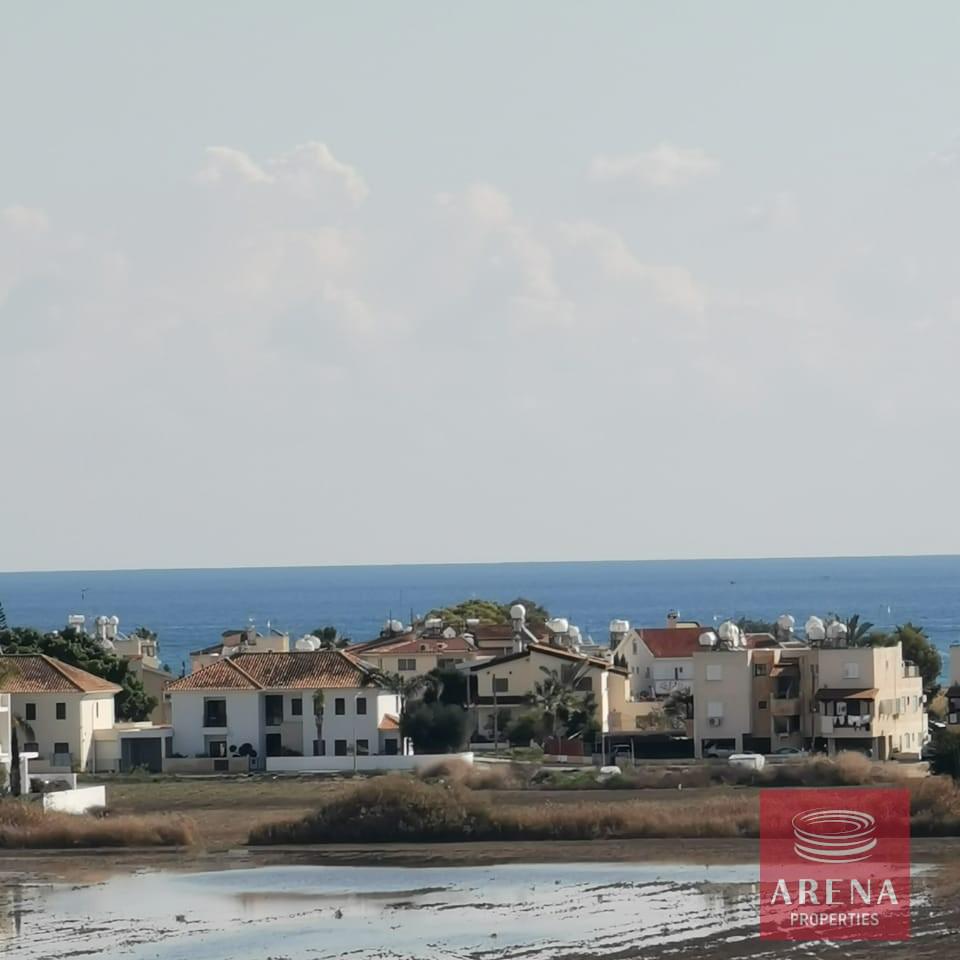 WhatsApp-Image-2024-02-29-at-11.24.08-AM-5