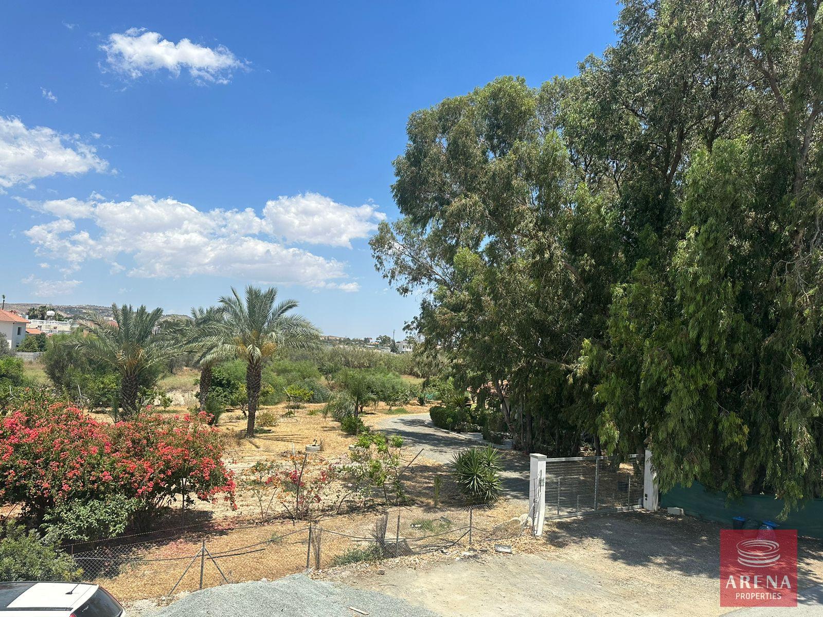 WhatsApp-Image-2024-07-02-at-13.09.03_971de915-4