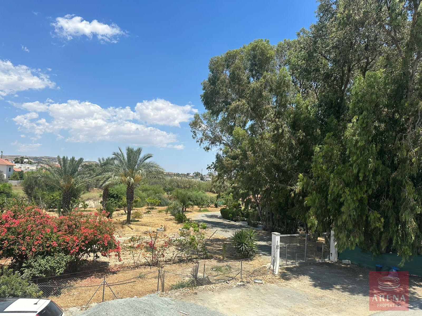 WhatsApp-Image-2024-07-02-at-13.09.03_971de915-8