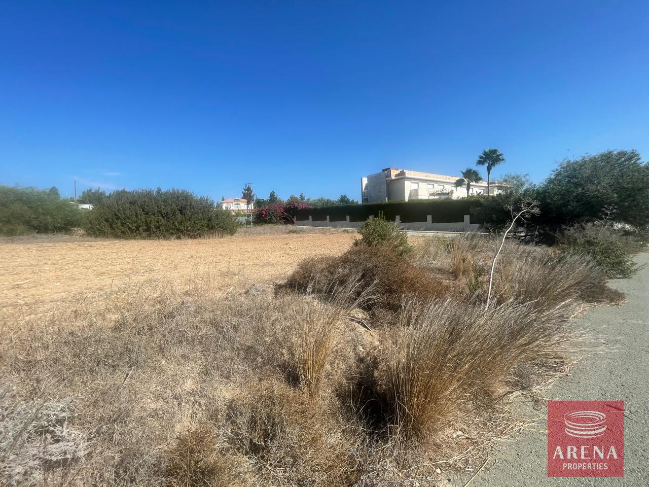 WhatsApp-Image-2024-09-20-at-15.30.03_2def065c