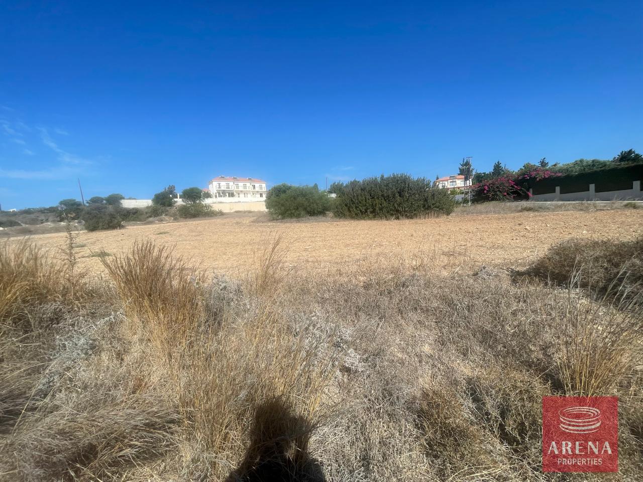 WhatsApp-Image-2024-09-20-at-15.30.03_7cd869bc