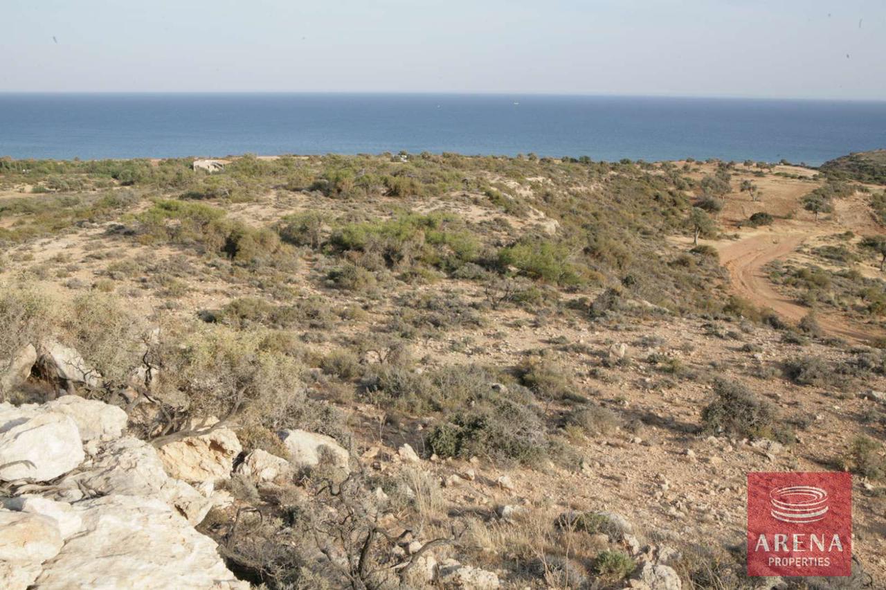 WhatsApp-Image-2024-11-07-at-5.05.35-PM-1