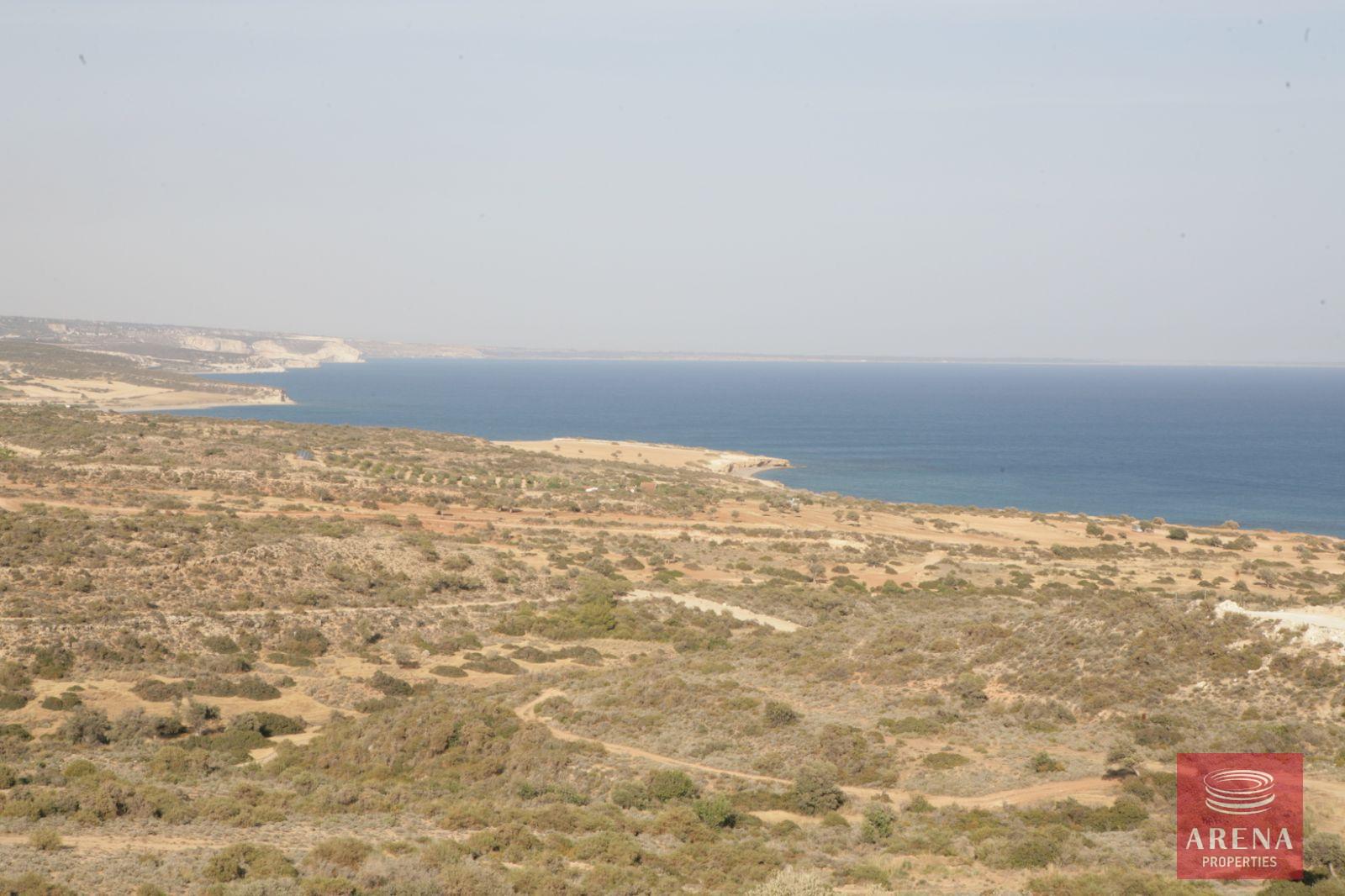 WhatsApp-Image-2024-11-07-at-5.05.37-PM-1