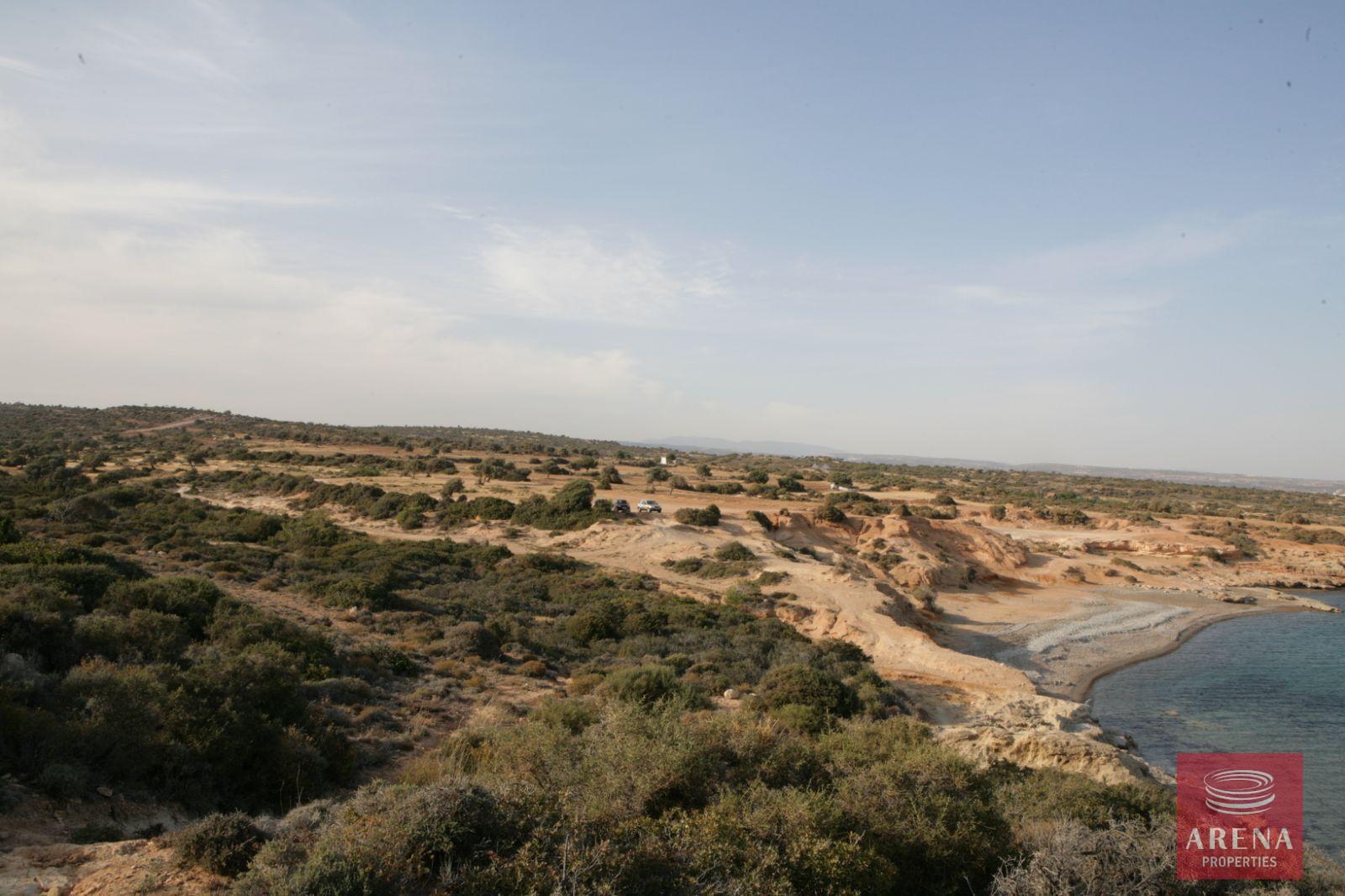 WhatsApp-Image-2024-11-07-at-5.05.40-PM