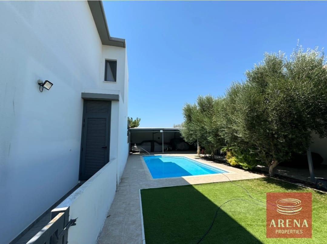 WhatsApp-Image-2025-01-30-at-2.58.26-PM-1-1