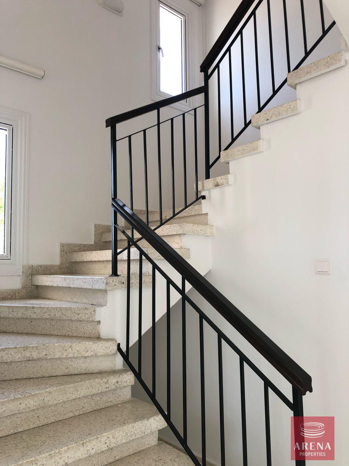 WhatsApp-Image-2025-02-12-at-6.29.26-PM-1