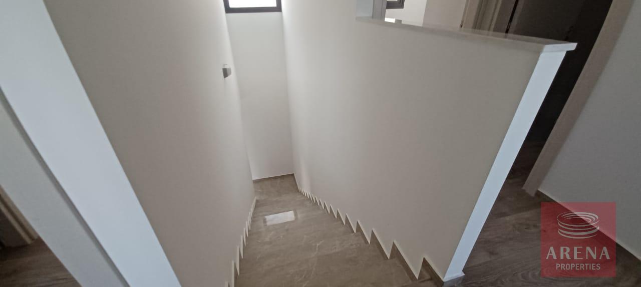 WhatsApp-Image-2025-09-08-at-6.16.00-PM