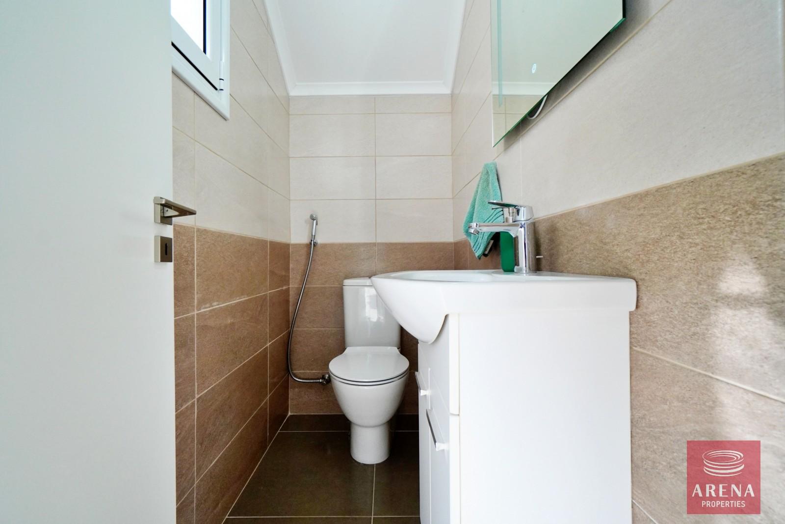 agios-theodoros-10-1