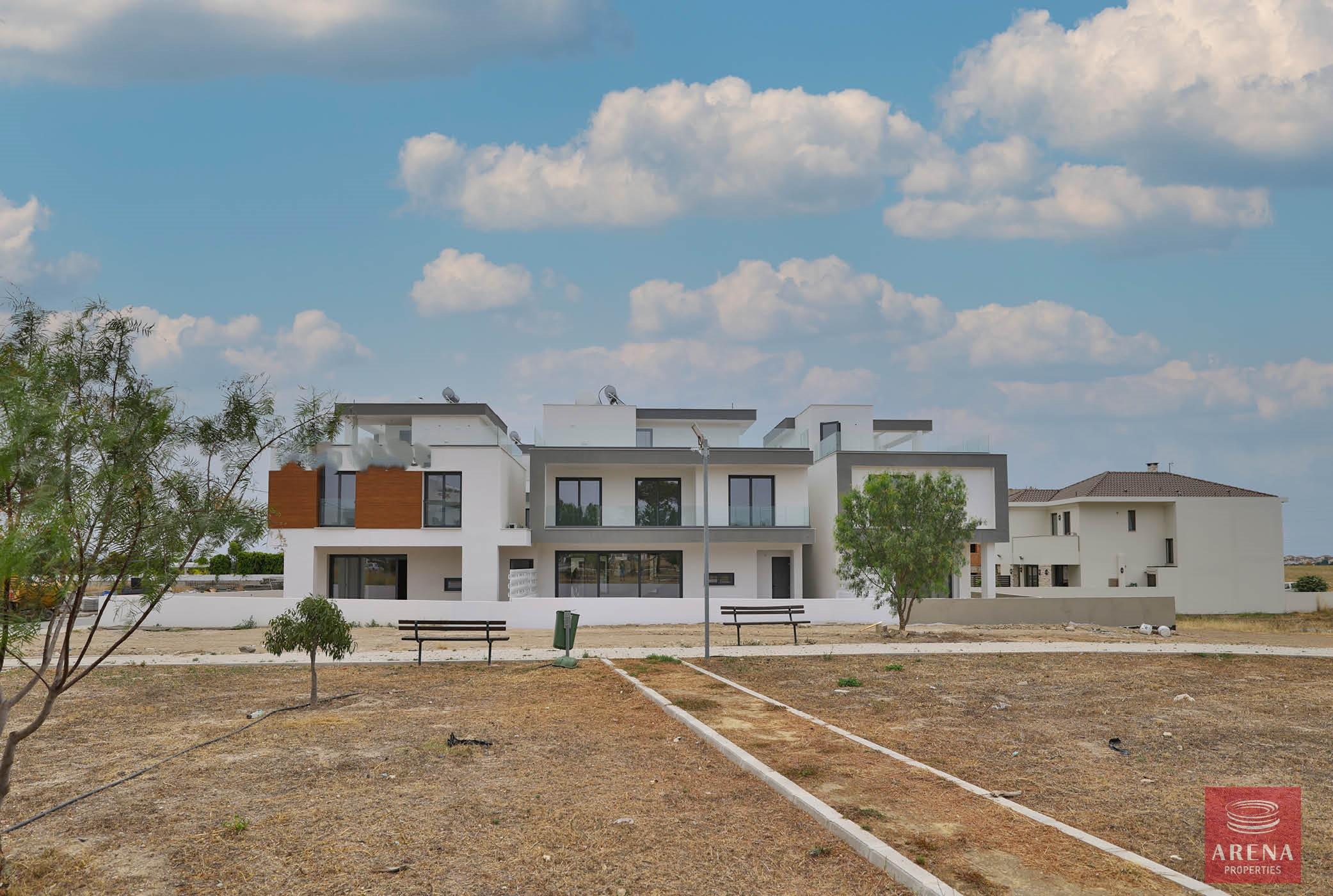 perspective20230616132627-2