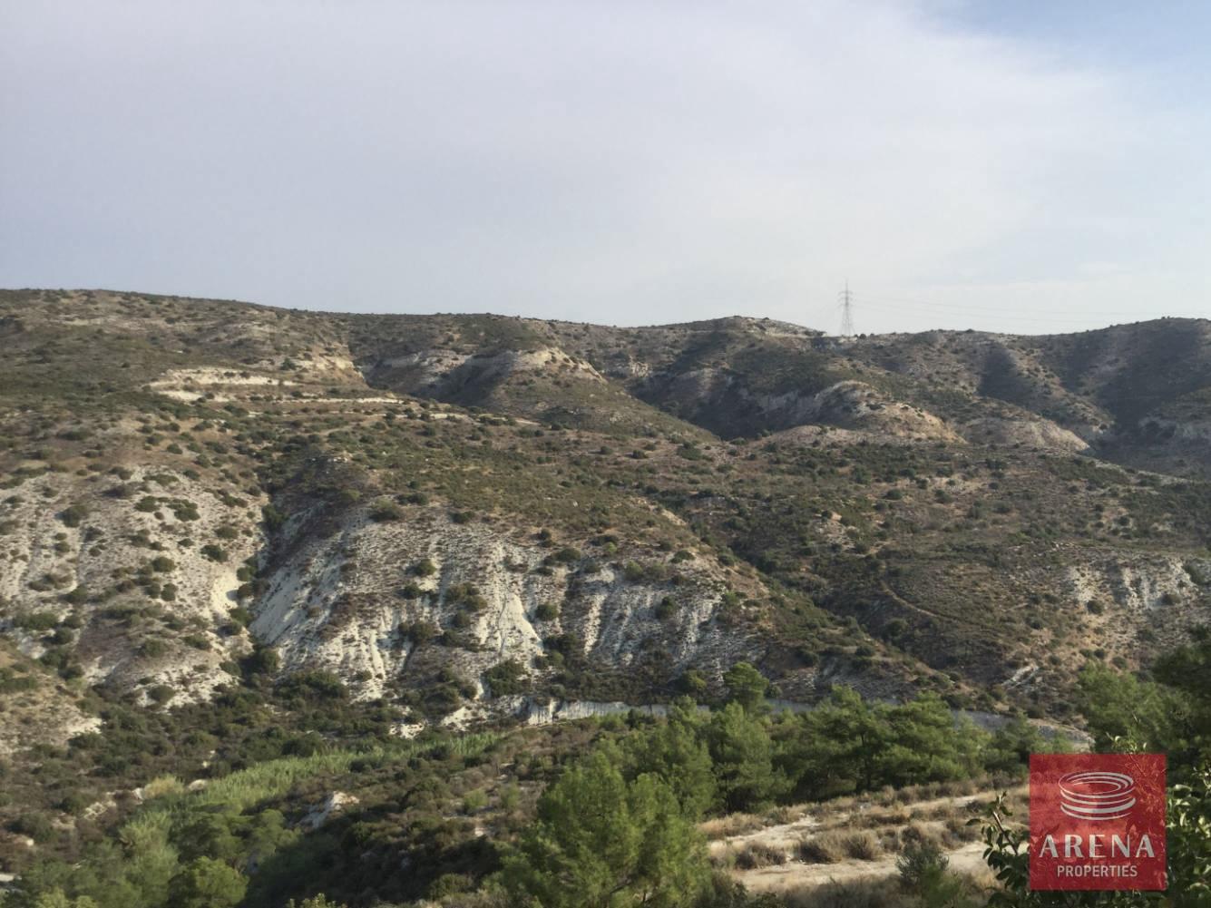 viber_image_2024-11-27_20-54-59-711